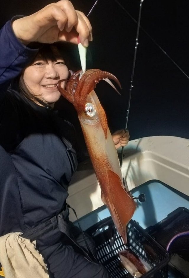 ヤリイカ