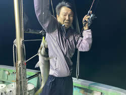 アジ(マアジ)