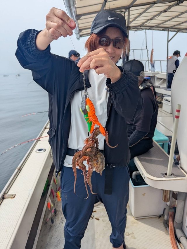 マダコ