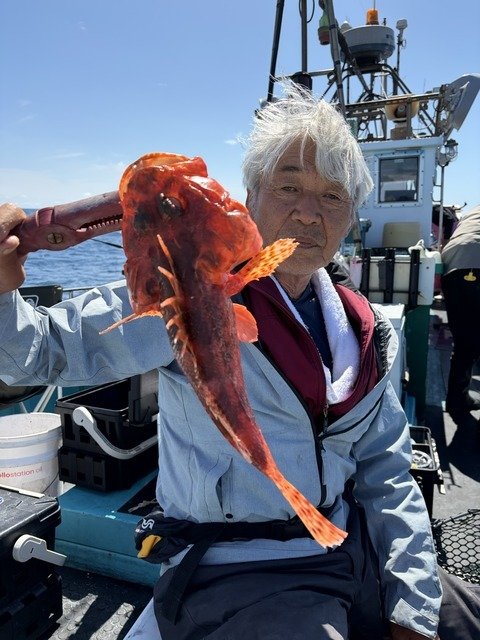 オニカサゴ