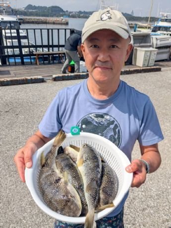 ショウサイフグ
