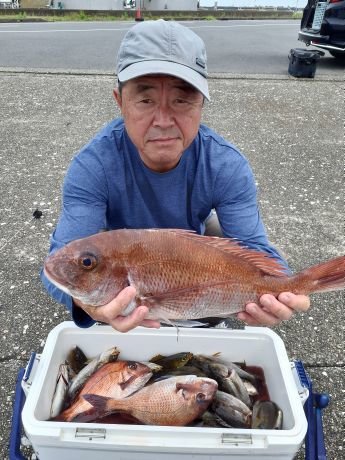 マダイ・イサキ