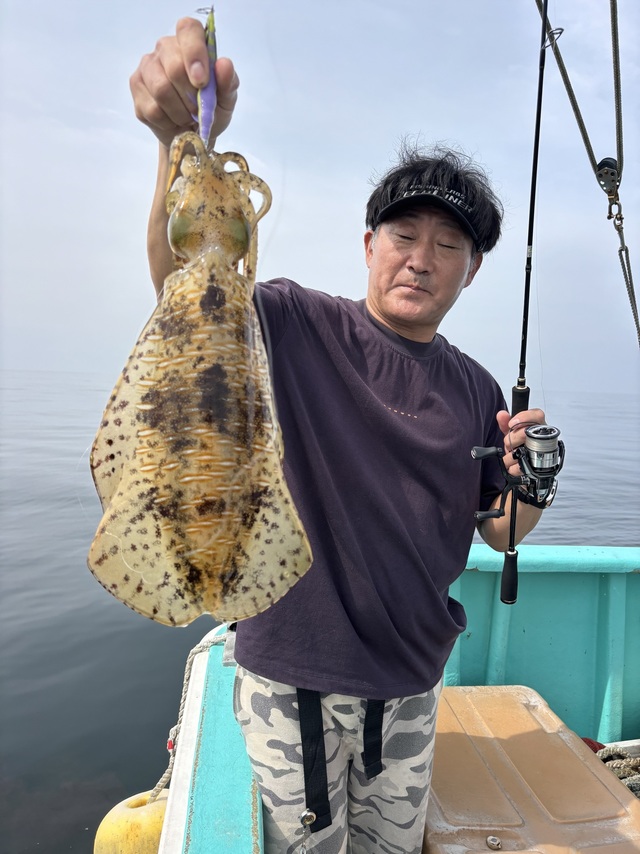 アオリイカ