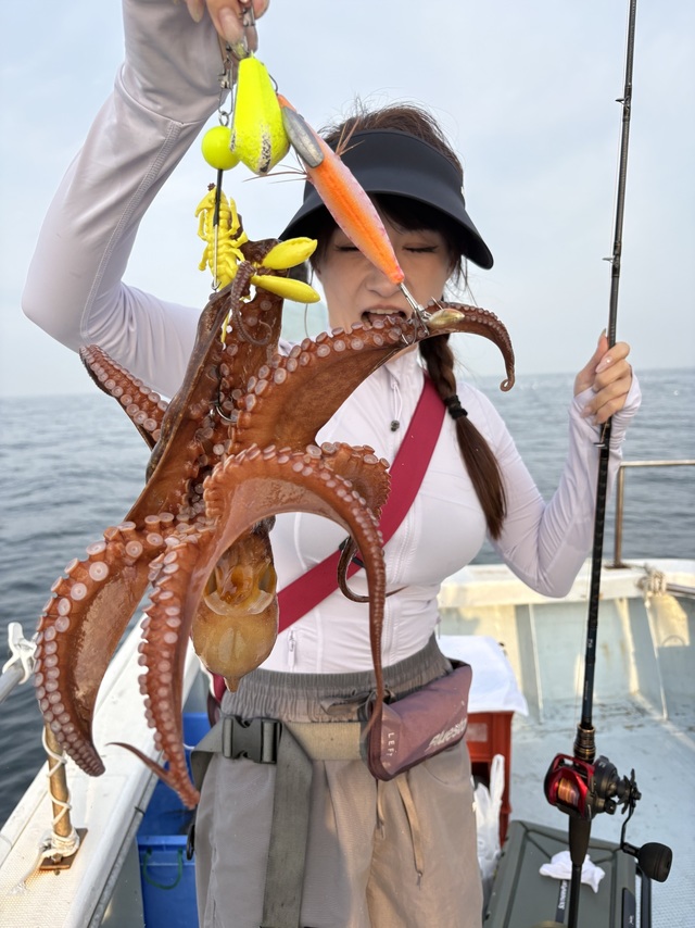 マダコ