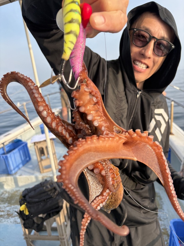 マダコ
