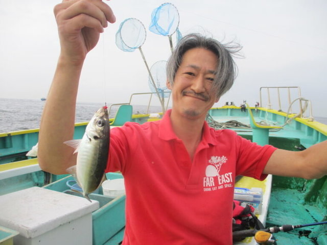 アジ(マアジ)