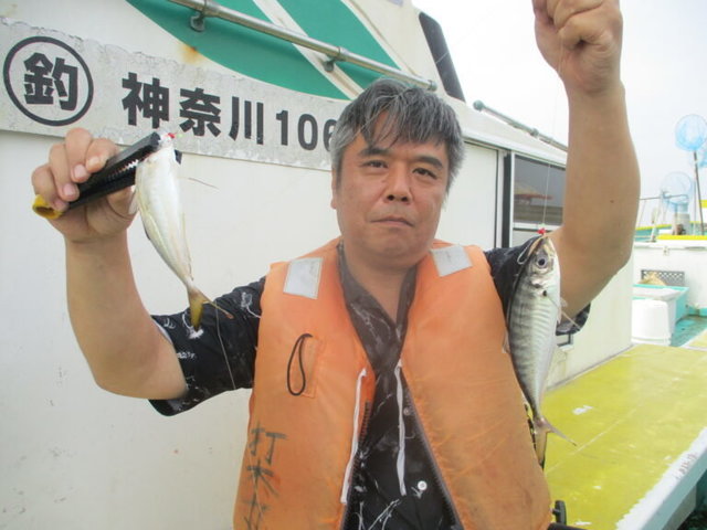 アジ(マアジ)