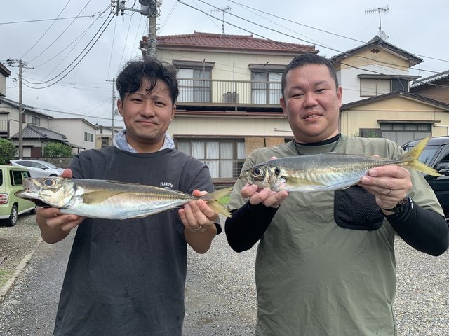 アジ(マアジ)