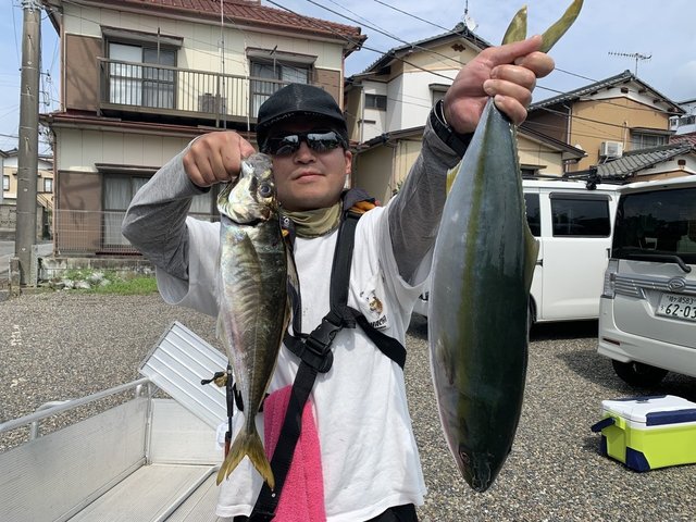 アジ(マアジ)