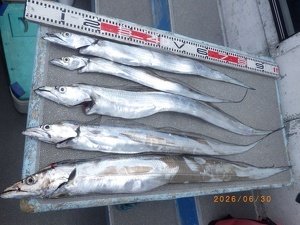 タチウオ