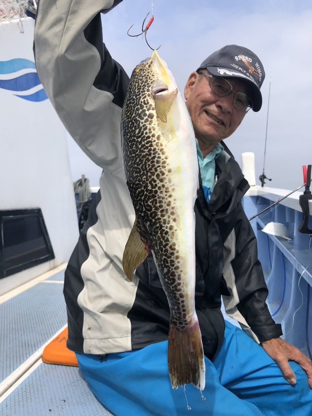 ショウサイフグ