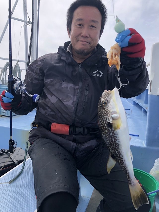 ショウサイフグ