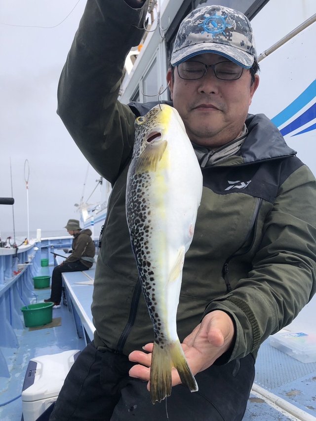 ショウサイフグ