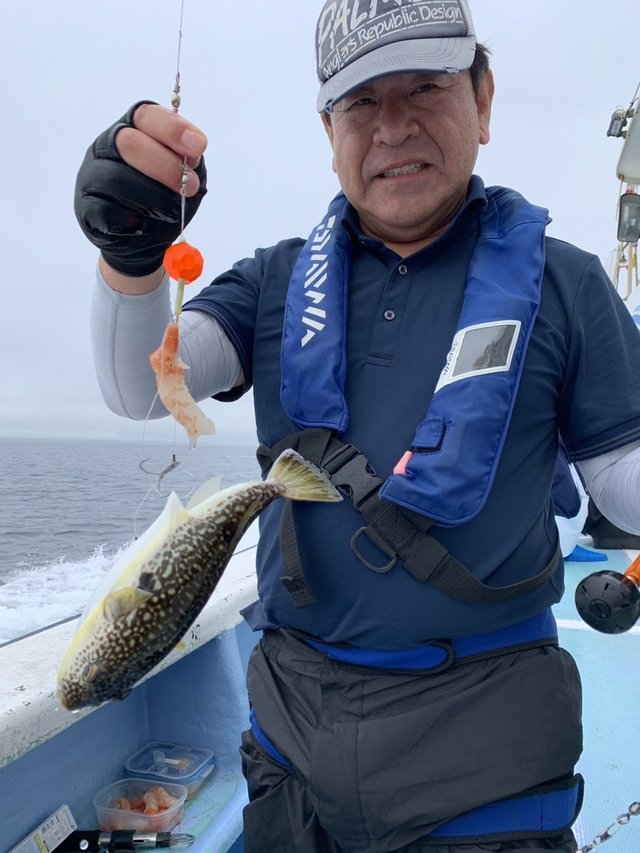 ショウサイフグ