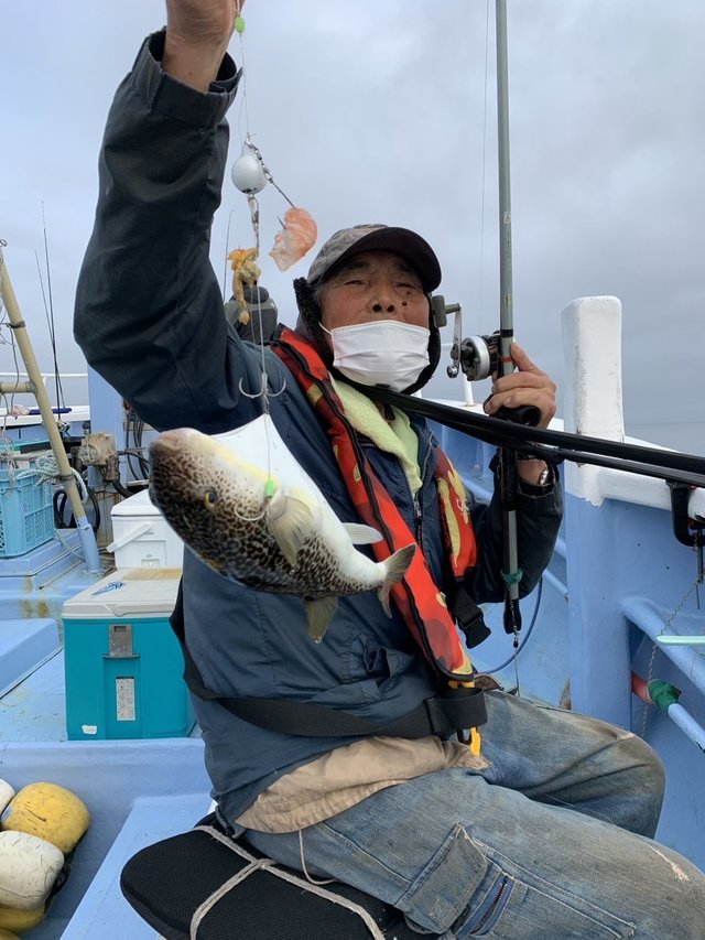 ショウサイフグ