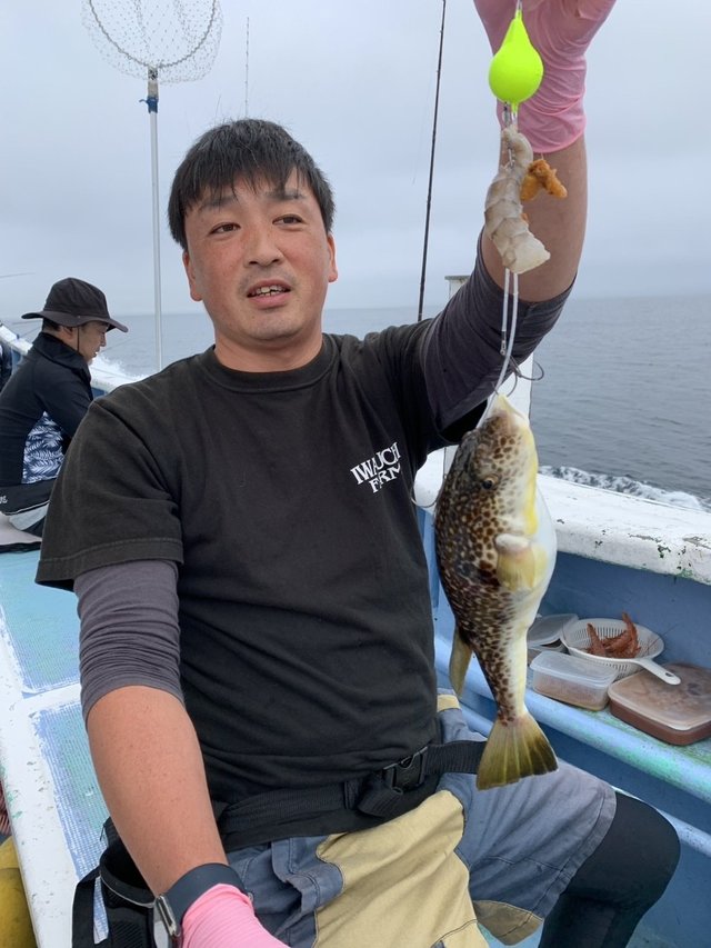 ショウサイフグ