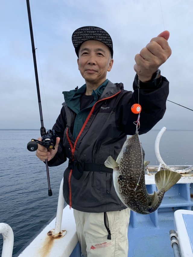 ショウサイフグ