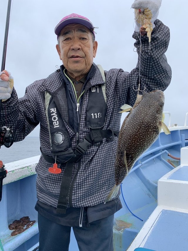 ショウサイフグ