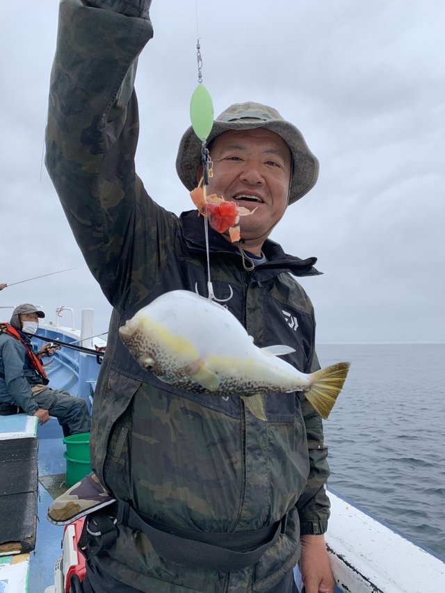 ショウサイフグ