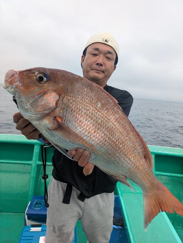 マダイ