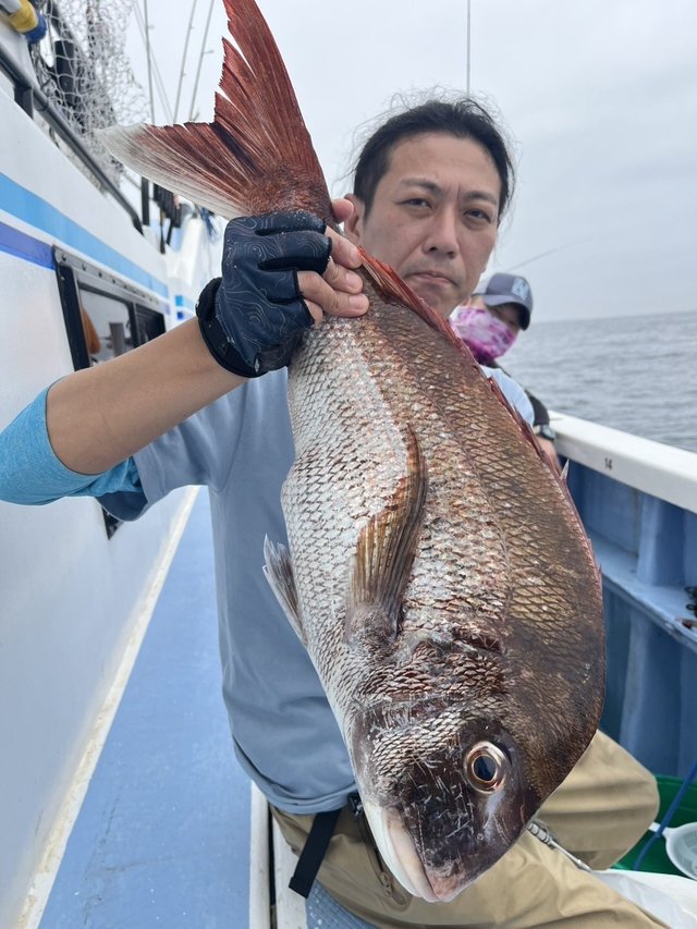 マダイ