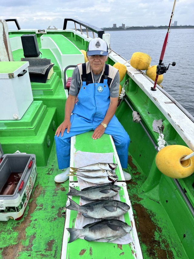 相模湾（神奈川県）で釣れたマアジの最新釣果、釣り情報【2026年7月】
