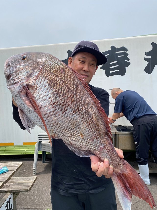 マダイ