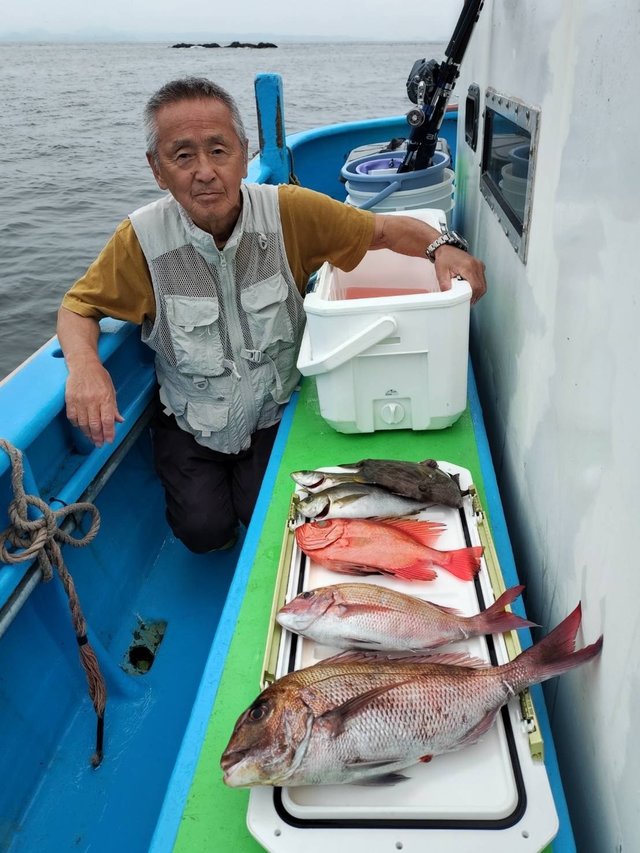 マダイ