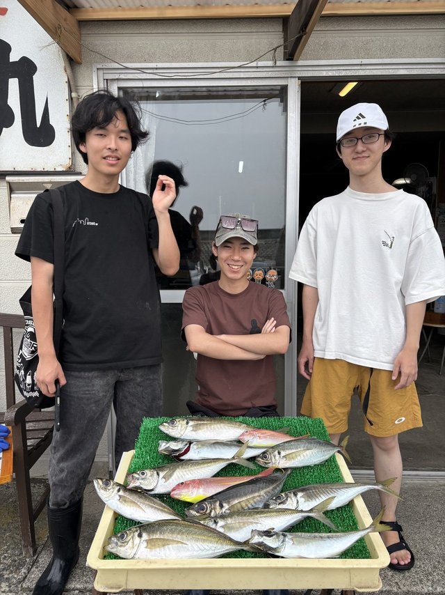 アジ(マアジ)