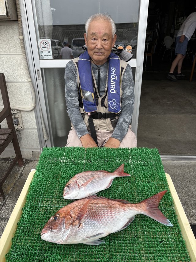 マダイ