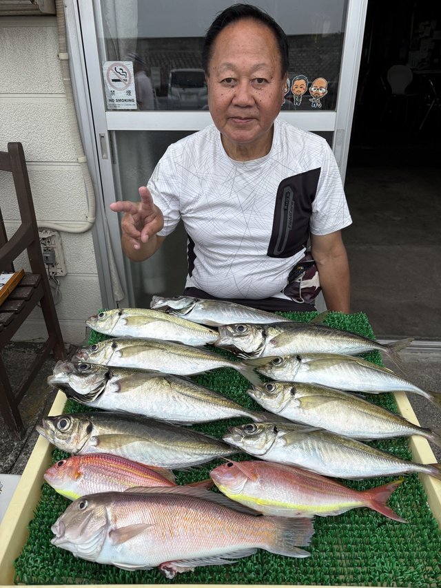 アジ(マアジ)