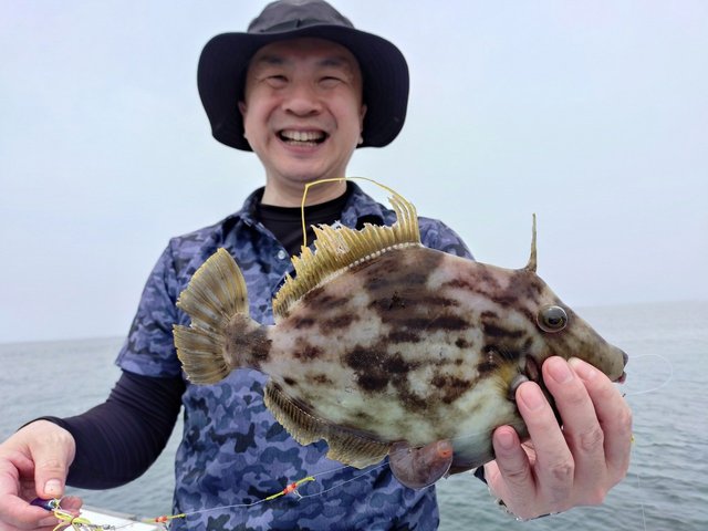カワハギ