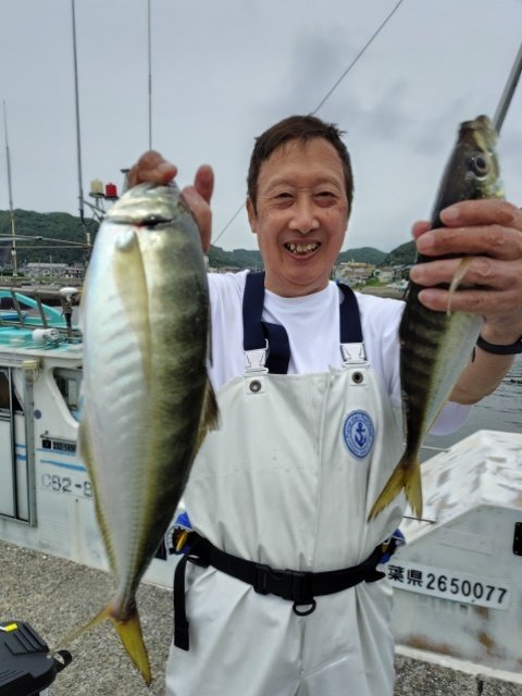 アジ(マアジ)