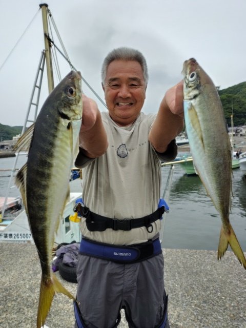 アジ(マアジ)