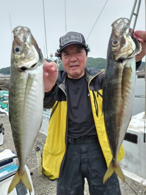 アジ(マアジ)