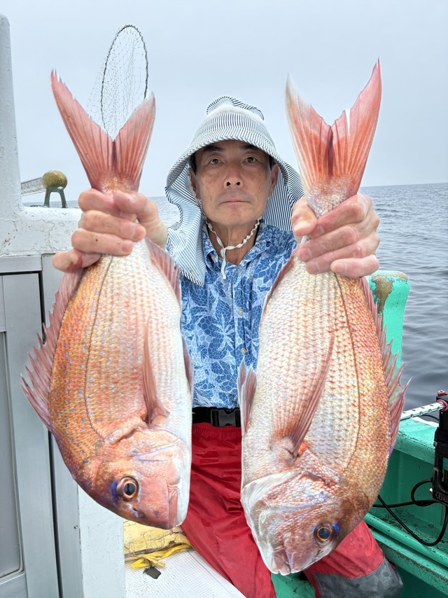 マダイ