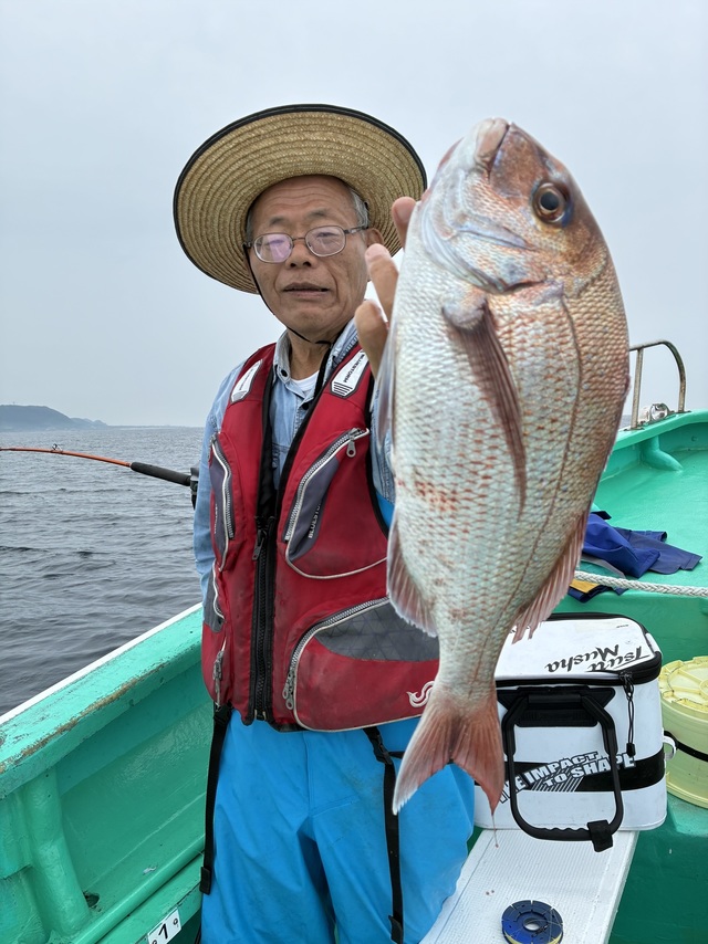 マダイ