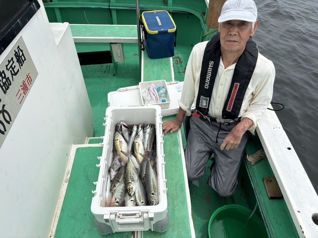 マアジ