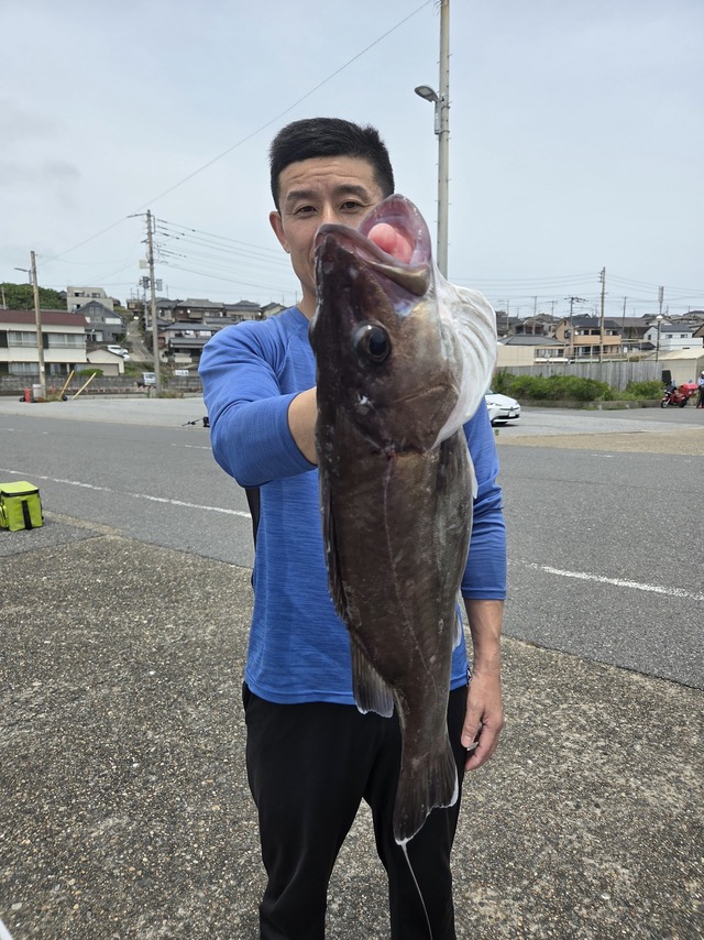 アラ