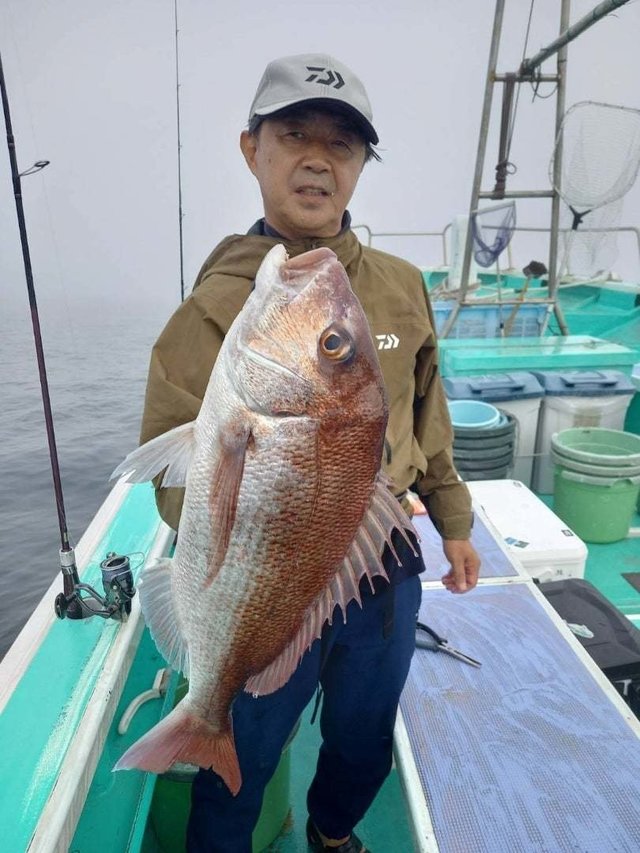 マダイ