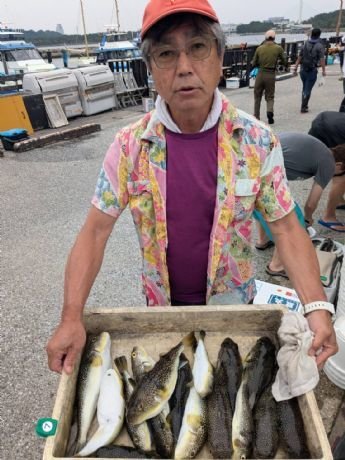 ショウサイフグ