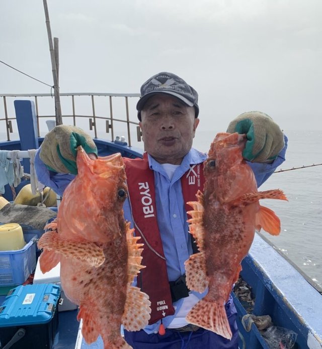 オニカサゴ