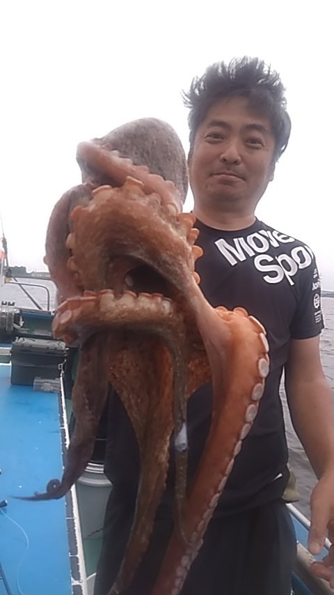 マダコ