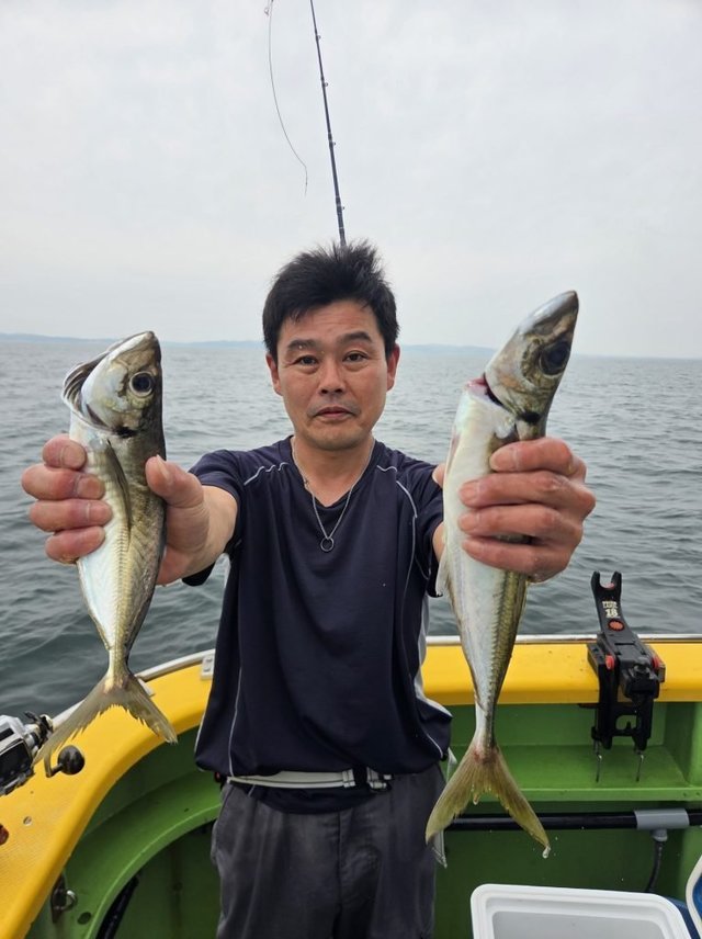 アジ(マアジ)