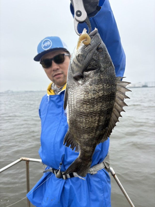 クロダイ