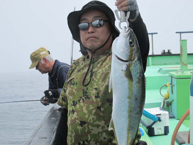 ヒラマサ