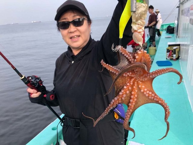 タコ(マダコ)