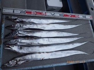 タチウオ