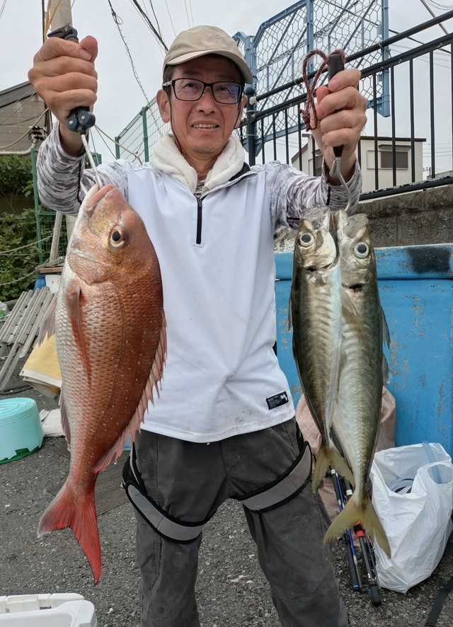マダイ・アジ(マアジ)