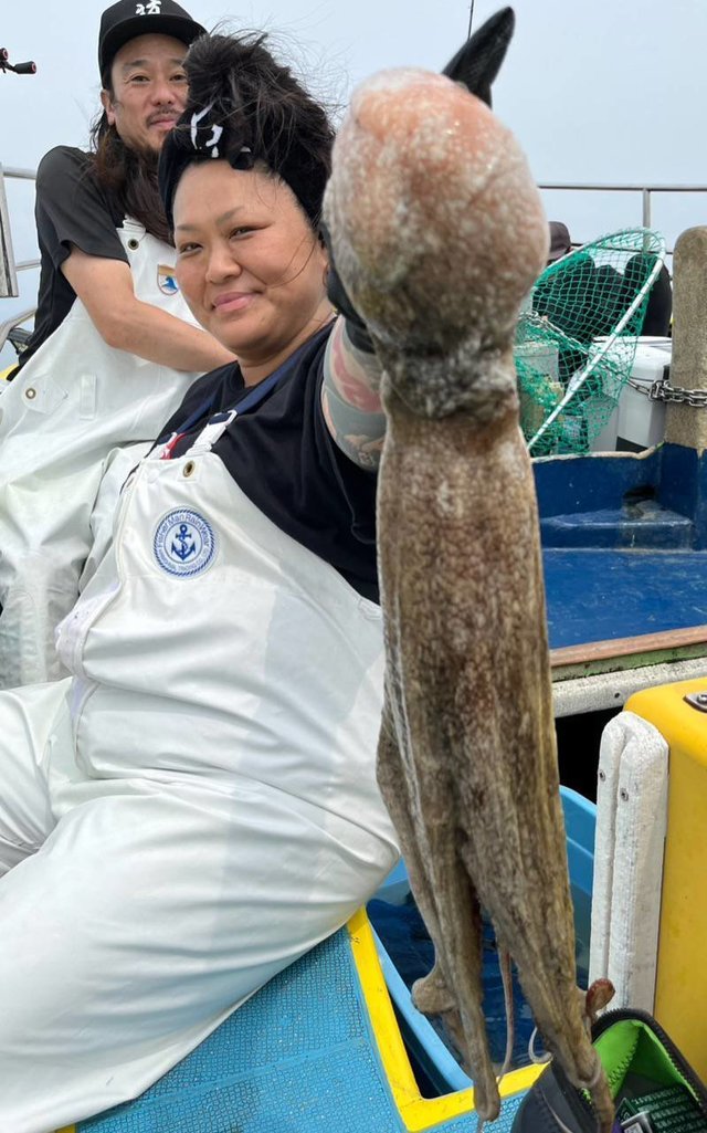 マダコ